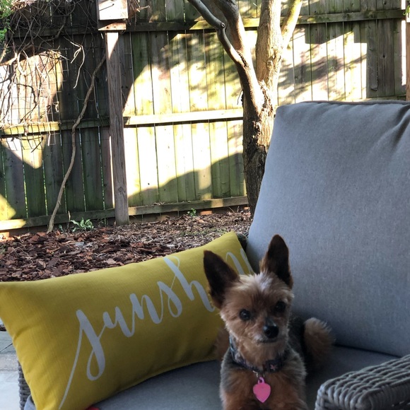 Meet Your Posher, Kathi - Picture 3 of 4